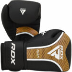 GANTS DE BOXE RDX AURA PLUS T-17