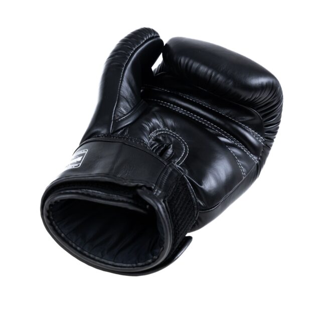 GANTS DE BOXE BG-N V2 - BLACK -  TWINS – Image 2